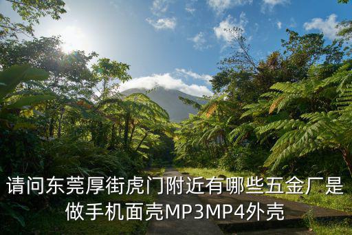 請問東莞厚街虎門附近有哪些五金廠是做手機面殼MP3MP4外殼