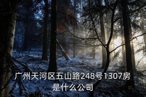 廣州置力工程有限公司，廣州天河區五山路248號1307房是什么公司