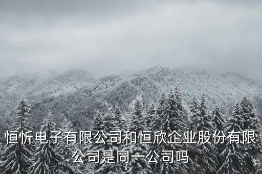恒忻電子有限公司和恒欣企業股份有限公司是同一公司嗎