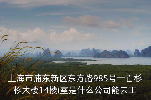 上海市浦東新區東方路985號一百杉杉大樓14樓i室是什么公司能去工