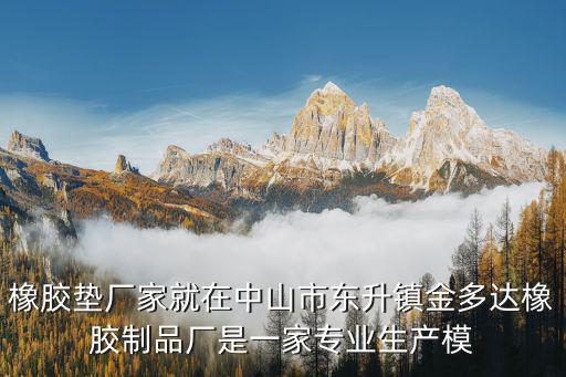 橡膠墊廠家就在中山市東升鎮(zhèn)金多達橡膠制品廠是一家專業(yè)生產(chǎn)模