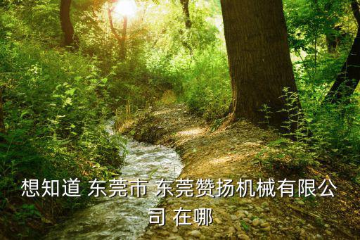 想知道 東莞市 東莞贊揚機械有限公司 在哪