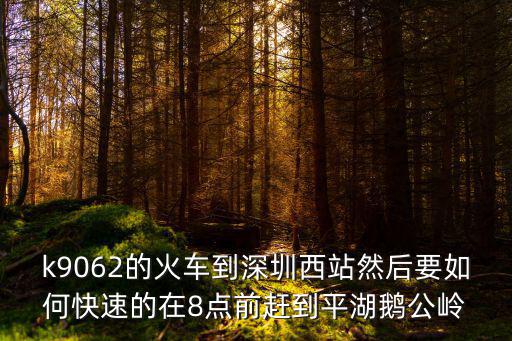 深圳平湖鵝公嶺到圍嶺加油站距離，深圳平湖廣場(chǎng)西坐什么車到鵝公嶺