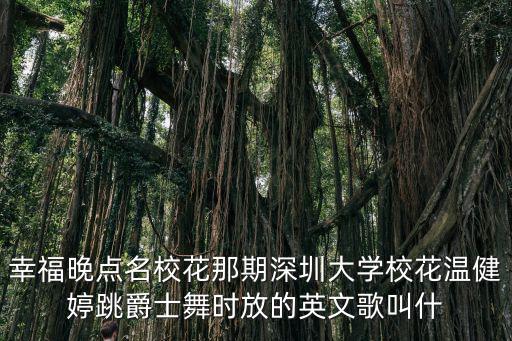 深圳大學(xué)校花，深圳大學(xué)校花叫什么名字