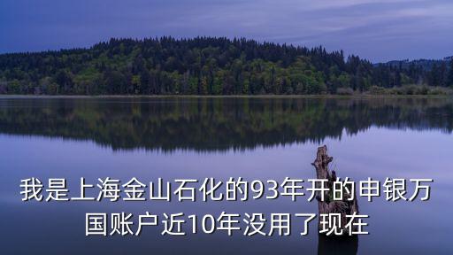 我是上海金山石化的93年開的申銀萬國賬戶近10年沒用了現在
