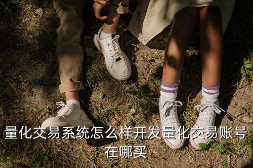 量化交易系統(tǒng)怎么樣開發(fā)量化交易賬號在哪買