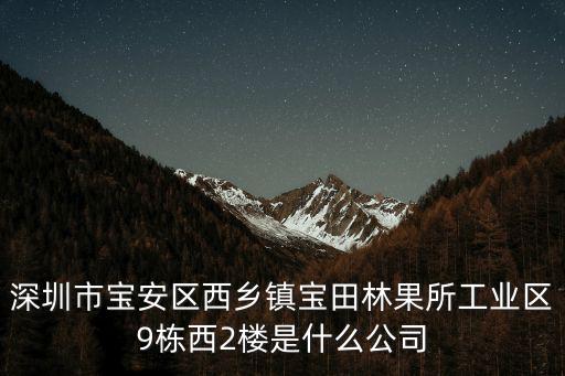 深圳市寶安區西鄉鎮寶田林果所工業區9棟西2樓是什么公司
