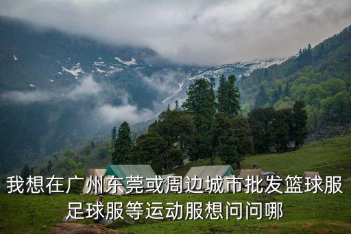 我想在廣州東莞或周邊城市批發籃球服足球服等運動服想問問哪
