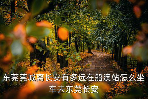 東莞莞城離長安有多遠在船澳站怎么坐車去東莞長安