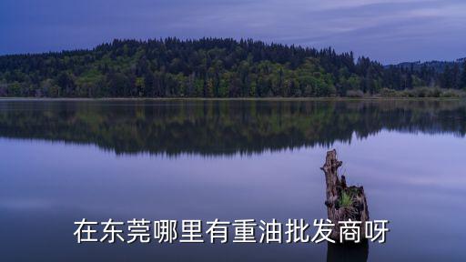 在東莞哪里有重油批發商呀