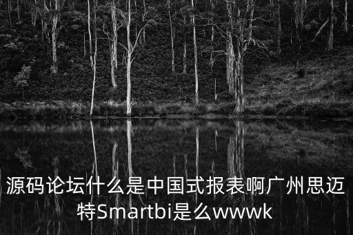 源碼論壇什么是中國(guó)式報(bào)表啊廣州思邁特Smartbi是么wwwk