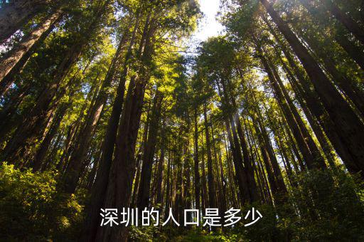 深圳福永人口，深圳有多少人口