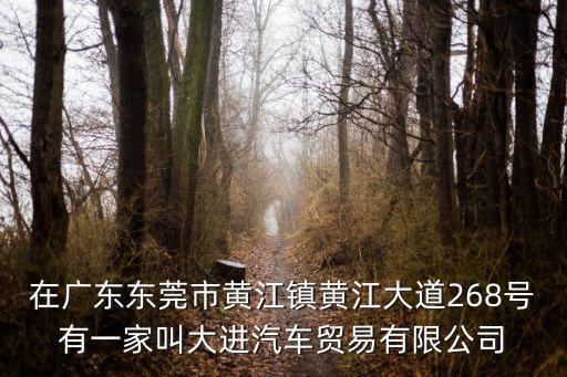 在廣東東莞市黃江鎮(zhèn)黃江大道268號(hào)有一家叫大進(jìn)汽車貿(mào)易有限公司