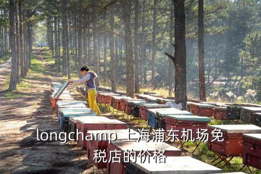 上海市場購買天銘臺磨機，longchamp 上海浦東機場免稅店的價格