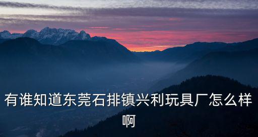 有誰知道東莞石排鎮興利玩具廠怎么樣啊