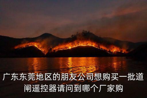 廣東東莞地區的朋友公司想購買一批道閘遙控器請問到哪個廠家購