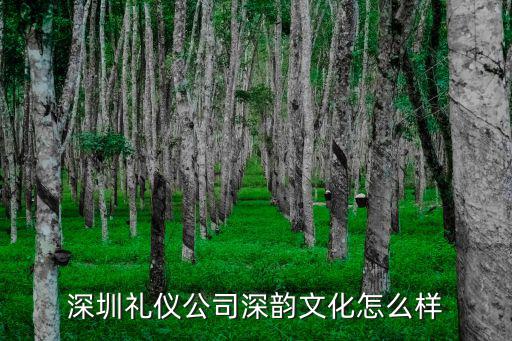 深圳禮儀公司，深圳禮儀公司深韻文化怎么樣