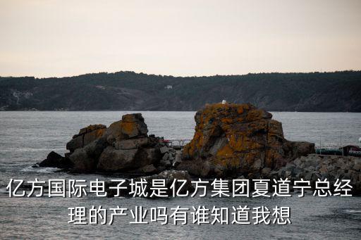 億方國際電子城是億方集團夏道寧總經理的產業嗎有誰知道我想