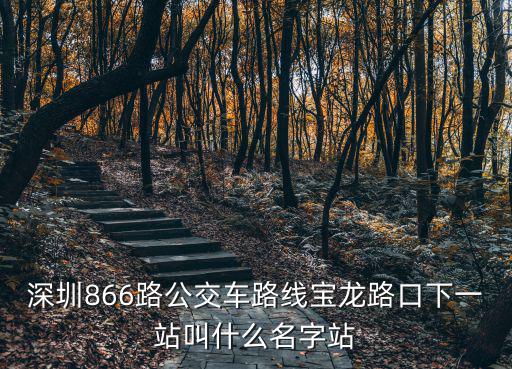 深圳866路公交車路線寶龍路口下一站叫什么名字站