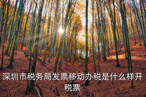 深圳國家稅務局，深圳有多少個國稅局