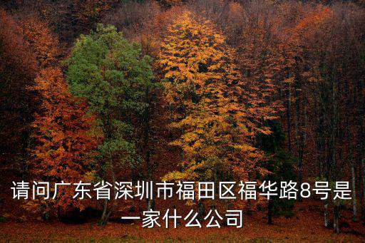 深圳市伊雷諾貿易有限公司，請問廣東省深圳市福田區福華路8號是一家什么公司