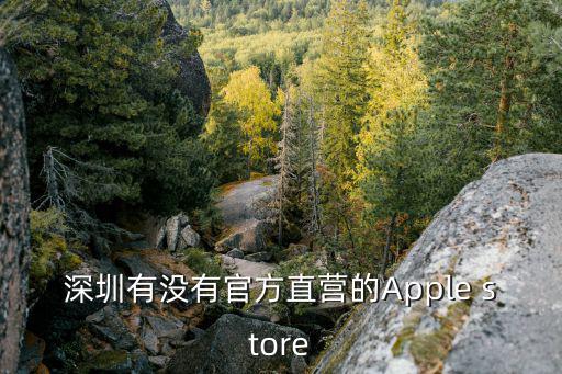 深圳有沒有官方直營的Apple store
