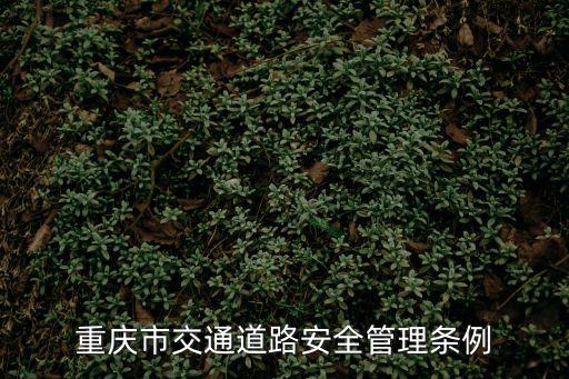 重慶市公共汽車管理條例，重慶市交通道路安全管理條例
