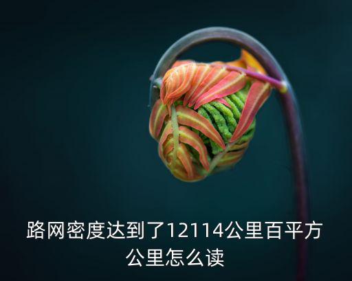 路網密度達到了12114公里百平方公里怎么讀