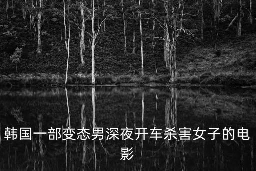 韓國一部變態(tài)男深夜開車殺害女子的電影