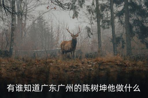 有誰知道廣東廣州的陳樹坤他做什么