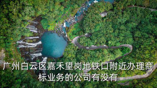 廣州白云區嘉禾望崗地鐵口附近辦理商標業務的公司有沒有