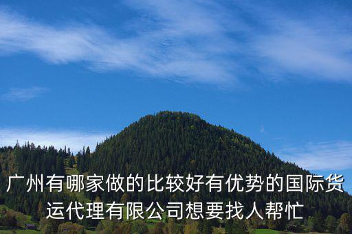 廣州有哪家做的比較好有優(yōu)勢(shì)的國(guó)際貨運(yùn)代理有限公司想要找人幫忙