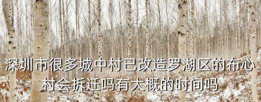 深圳深茂水泥廠的幾時改造，深圳市深南路改造大概是花了多長時間