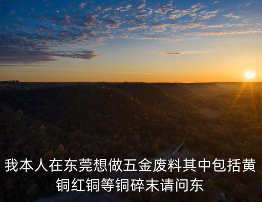 我本人在東莞想做五金廢料其中包括黃銅紅銅等銅碎末請(qǐng)問(wèn)東