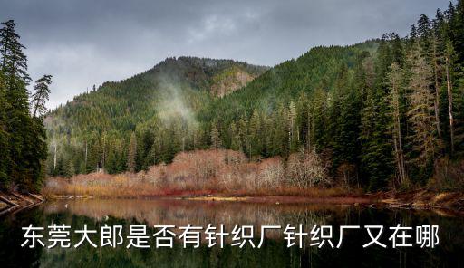 東莞市大朗億佳依針織服裝廠，大朗最大的毛織廠叫什么