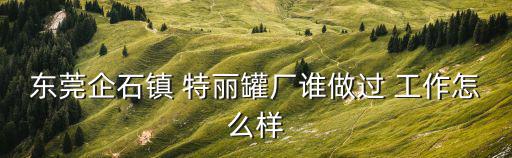 東莞企石鎮(zhèn) 特麗罐廠誰做過 工作怎么樣