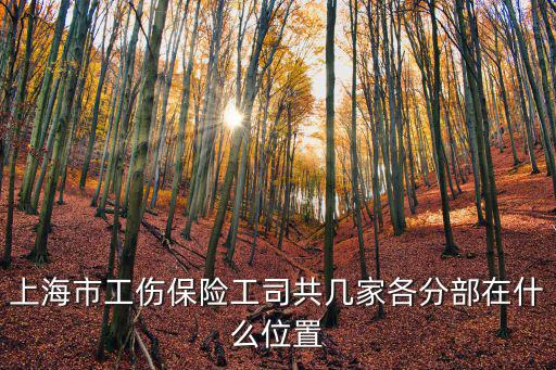 上海市寶山區(qū)工傷保險，上海市寶山區(qū)工傷鑒定局電話號碼是什么
