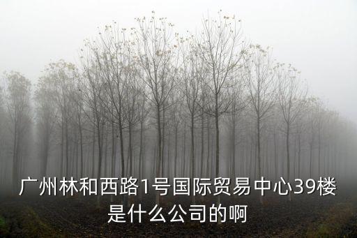 廣州林和西路1號國際貿(mào)易中心39樓是什么公司的啊
