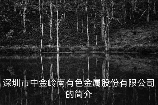 深圳市中金嶺南有色金屬股份有限公司的簡(jiǎn)介