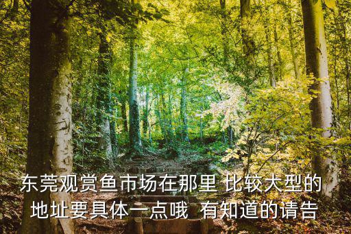 東莞觀賞魚市場在那里 比較大型的 地址要具體一點(diǎn)哦  有知道的請告