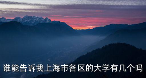 誰能告訴我上海市各區的大學有幾個嗎