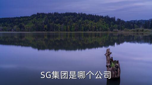 SG集團是哪個公司