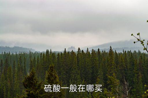 硫酸一般在哪買