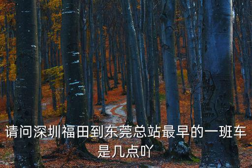 請問深圳福田到東莞總站最早的一班車是幾點吖
