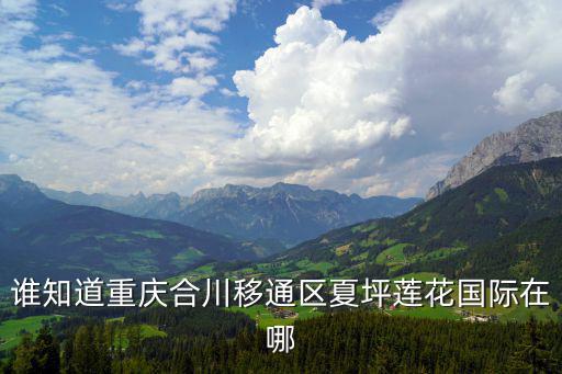 重慶市合川區徐國輝，誰知道重慶合川移通區夏坪蓮花國際在哪