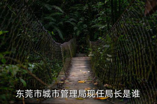 東莞市城市管理局現(xiàn)任局長是誰