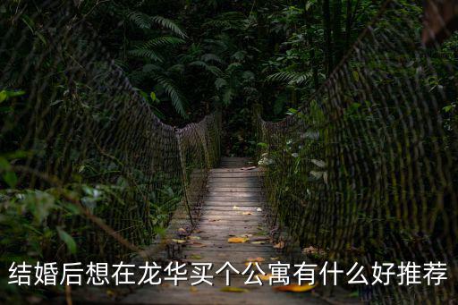 結婚后想在龍華買個公寓有什么好推薦