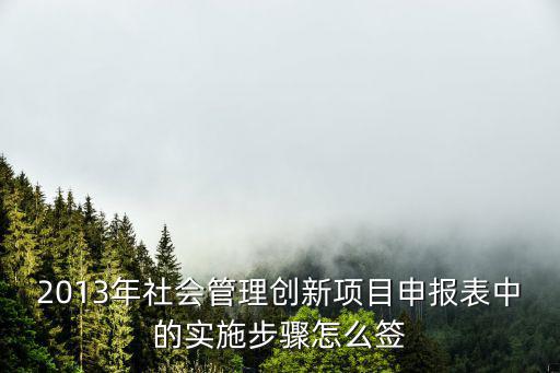 2013年社會(huì)管理創(chuàng)新項(xiàng)目申報(bào)表中的實(shí)施步驟怎么簽