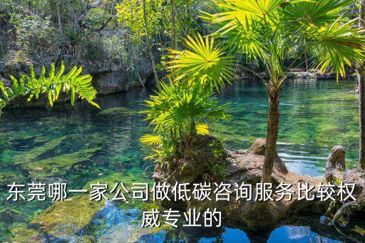 東莞哪一家公司做低碳咨詢服務(wù)比較權(quán)威專業(yè)的