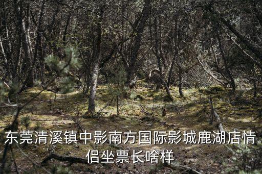 東莞清溪鎮中影南方國際影城鹿湖店情侶坐票長啥樣